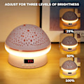 Miniatyrbillede 3 af 5: Svampe stjernehimmel projektionslampe, soveværelse atmosfære himmel lampe Timer Roterende stjerne projektor natlys til børn, gaver til 3-10 år gamle børn