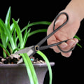 Miniatyrbillede 2 af 5: Bonsai Saks 20,5 cm Langt Håndtag Bladknoppe Saks Bonsai Styling Værktøj Havebeskærere Beskæringsværktøj Haveudstyr