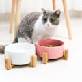 Miniatyrbillede 4 af 4: Hvid Keramisk Katteskål med Træstativ Spildfri Dyrefoder Vandmater Katte Små Hunde