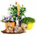 Miniatyrbillede 4 af 5: 6 stk. Kaniner Havepynt Mini Resin Kanin Figurer Kaniner Holder Gulerødder Udendørs Mikro Landskab Have Påskepynt (Brun)