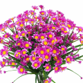 Miniatyrbillede 1 af 4: 4 stk. Kunstige Margueritblomster Udendørs Falske Blomster Dekoration kunstige planter udendørs Grønne Buske Blomst, Fuchsia Fushia