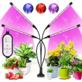 Miniatyrbilde 1 av 5: Vekstlys for innendørs planter, 80 LED-lys, rødt og blått fullspektrum, 4 hoder vekstlamper med timer, frøplanter og sukkulenter Red & Blue Full Spectrum