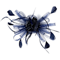Miniatyrbilde 5 av 5: Elegant Dame Fascinator Hatt Bryllup Fjær Tilbehør til Hårklipp