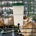 Pikkukuva 5 / 5: Pieni lemmikkieläinten tarvikkeet, kani ja hamsteri automaattinen juomavesisuihku, suuri kapasiteetti 1L/500ml, sopii kaneille, marsuille, linnuille 500ml