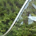 Miniatyrbillede 3 af 5: 1 x Vandtæt transparent presenning, vandtæt transparent presenning med øjer, (1x2m)