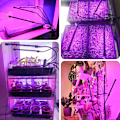 Miniatyrbillede 7 af 7: Vækstlys til Indendørs Planter, 80 LED'er Fuld Spektrum LED Plantevækstlys, 10 Dæmpningsniveauer & 4 Hoveder Vækstlampe med Timer 360° Justerbar Svanenhals