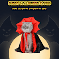 Miniatyrbilde 4 av 8: Kleskappe for kjæledyr, vampyrkappe for katt, hekskostyme for hund, for små og mellomstore hunder og katter, valper, morsomme hundekostymer, trollmannkostyme