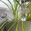 Miniatyrbild 3 av 5: 4-pack svampformade självbevattnande kulor, automatisk växtbevattnare, handblåst glasbevattningskanna för inomhus- och utomhusväxter 1003