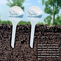 Miniatyrbilde 2 av 5: 12 stk. automatiske vanningskuler i plast for planter, selvvannende