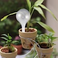 Miniatyrbilde 4 av 5: 12 stk. automatiske vanningskuler i plast for planter, selvvannende