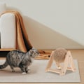 Miniatyrbild 2 av 6: Kattklösleksak med Sisalboll, Katter Klösande Repboll Interaktiv Roterbar Träleksak Hållbar för Innekatter att Vässa Klorna