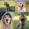 Miniatyrbilde 6 av 7: Hundehatt Lerret Hunde Solhatt Hunde Baseball Cap, Ny Tie-Dye Sommer Utendørs Hundehatt, Hunde Reise Sportshatt, Justerbar Kjæledyr Solhatt med Ørehull M