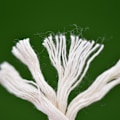 Miniatyrbild 4 av 5: Natur Bomullsrep, 200m Vit Makramésnöre För Presentinslagning, Miljövänlig, Mjukt Och Hållbart, Lätt Att Arbeta Med, Lämpligt För DIY-Projekt,
