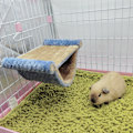 Miniatyrbild 3 av 8: Hängande Hammock för Smådjur Dubbellager Lätt att Rengöra Plysch Hängande Hammock Säng för Ekorrar Gyllene Björnar Chinchillor L Blå