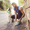 Miniatyrbild 3 av 5: Uppladdningsbara självlysande halsband för nattpromenader, hundhalsband för husdjurssäkerhet med snabb blinkning, långsam blinkning, fast ljusläge, USB