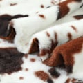 Miniatyrbillede 2 af 5: Let  Blødt og Kosteligt  Kø-Print  Tæppe  Gave  Dekoration  50x60inch  Plush  Fuzzy  Tæppe  til  Piger  Drenge  Kvinder  Mænd two-tone