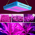 Miniatyrbillede 5 af 8: 1000W LED Vækstlys Fuld Spektrum til Tætte Blomster Hydroponics Indendørs Drivhus US