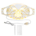 Miniatyrbillede 2 af 8: LED Ansigtsmaske LED Lys Terapi Ansigtshudpleje Ansigtsbeskyttelse til Ansigtsforyngelse Anti-Aging