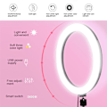 Miniatyrbillede 3 af 8: LED Live Streaming Ringlys Studio Fotografi Selfie Tattoo Fyldlys Sort (6,5 tommer)