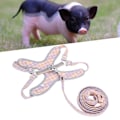 Miniatyrbillede 1 af 8: Hundesele og snor sæt Refleks Træningsvest Justerbar Brystsele Rem Træk Orange XS