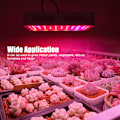 Miniatyrbillede 3 af 8: Vækstlys Panel 100 LED'er 1000W Fuld Spektrum Plantelampe Dobbeltkontakter til Spirende Blomstringsperiode EU Stik 85-265V