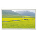 Miniatyrbild 2 av 8: 10,1 tums DVI-displaymodul Professionell 1024×600 upplösning Inbyggd OSD-meny IPS-panel Skärm för RPi Pico