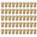 Miniatyrbillede 2 af 2: 50 stk. M6 Gevindede Messingdyse 12,5x7,5 mm 3D-printer Tilbehør 1,75 mm Præcision til V6