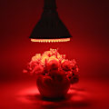 Pikkukuva 1 / 2: 85-265V E27 Kanta 168 LED Kasvilampun Polttimo Sisätilojen Kukkien Kasvun Valo (168Punainen)