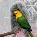Miniatyrbillede 1 af 8: Hjørne Fleece Fugle Tæppe Behagelig Varmt Fuglely Bed Papegøjetæppe til Efterår Vinter Små Mellems Store Fugle Grå