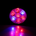 Miniatyrbillede 1 af 2: 220V Sort 7 stk LED Plant Grow Indendørs Justerbar Vækstlampe med Klemme (Sort 7LED)