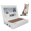 Miniatyrbild 1 av 8: Fällbar Kattklösbräda i Vågig Pappersform med Musleksak för Interaktiva Katt-leksaker