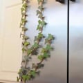 Miniatyrbild 2 av 5: Ivy Kylskåpsmagnet med Ledande Stjälkar, 3D-Prinsade Magneter för Kylskåp 3pcs