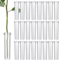 Paket med 100 Blomrör, Blomvattenrör med Lock, Återanvändbara och Hållbara Provrör för Blommor, 7 cm, Transparent