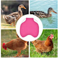 Miniatyrbillede 2 af 5: *Enkelt rem kyllingeforklæde/sadel vest høne and beskyttelse standard kyllingejakker høne forklæder fjerkræ pleje tilbehør 5stk-Rose Red*