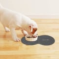 Miniatyrbillede 4 af 5: Grå Silikon Pet Fodermåtte, Hundebøllemåtte, Skridsikker PVC Pet Fe