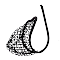 Miniatyrbild 2 av 2: Sexiga underkläder för män spetsficka stringtrosa fisknät C-string män bikini brief