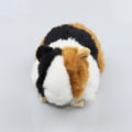 Pikkukuva 2 / 5: World of Nature  Plush-pehmoinen marsu
