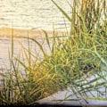 Pikkukuva 3 / 5: Luonto Seinävaate Seinäkoriste Meri Auringonlasku Seinäpeitto Kesämaisema Seinävaatteet Seinäkoristeet Kotiin Olohuoneeseen Makuuhuoneeseen Opiskelija-asuntolaan, 150x130cm