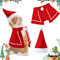 Miniatyrbild 1 av 5: #Jul för Husdjur, Julkappor med Röd Julhatt för Katt#