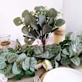 Miniatyrbillede 4 af 5: 20 Pak - Kunstig Eucalyptusplante der Simulerer Grøn Eucalyptus