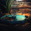 Miniatyrbillede 2 af 5: *Reptil Vanddispenser, 2 i 1 Anti-Overflow Foderdispenser Skål*