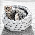 Miniatyrbild 1 av 4: Handgjord Korg för Husdjur Hund Katt Tjock Bomullsrep Flätad Mjuk C