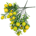 Miniatyrbilde 3 av 5: 2 stk. Kunstig Sitrontre Stilk Falske Fruktgrener Faux Sitrongren Arrangement for Hjemmet