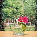 Miniatyrbillede 2 af 3: 2 stk. Glas Hydroponisk Blomstervase Stue Blomsterbeholder Glas Engel Blomsterbeholder