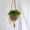 Miniatyrbild 2 av 5: /#/Rattan hängande korg för plantering/#/