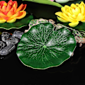 Miniatyrbilde 2 av 2: Kunstige Blader Kunstig Lotus Vann Dekorativt Blad Akvarium Lotusblad Flytende Lotusblad