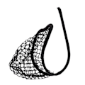 Miniatyrbild 1 av 2: Sexiga underkläder för män spetsficka stringtrosa fisknät C-string män bikini brief