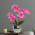 Miniatyrbillede 2 af 5: *Simuleret Blomsterpotte Plantefølelse Isolerende Sommerfugleorkidé Kunstpakke Dekoration Hjemmedekoration Stue Veranda Sofabord Dekoration*