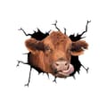 Bilfönster Ko-dekal