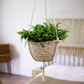 Miniatyrbild 5 av 5: /#/Rattan hängande korg för plantering/#/